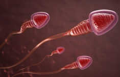 Xuất tinh máu: Nguyên nhân, dấu hiệu, cách điều trị, có nguy hiểm không?