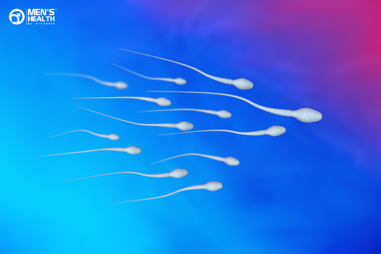 Testosterone là yếu tố quan trọng trong việc sản xuất tinh trùng và khẳng định đặc tính phái mạnh của nam giới