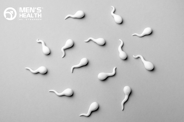 Sử dụng steroid có thể ảnh hưởng tiêu cực đến số lượng và chất lượng tinh trùng