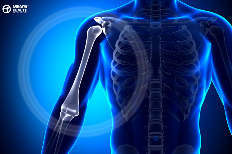 Testosterone còn làm tăng mật độ xương và có vai trò quan trọng trong việc sản xuất các tế bào hồng cầu từ tủy xương